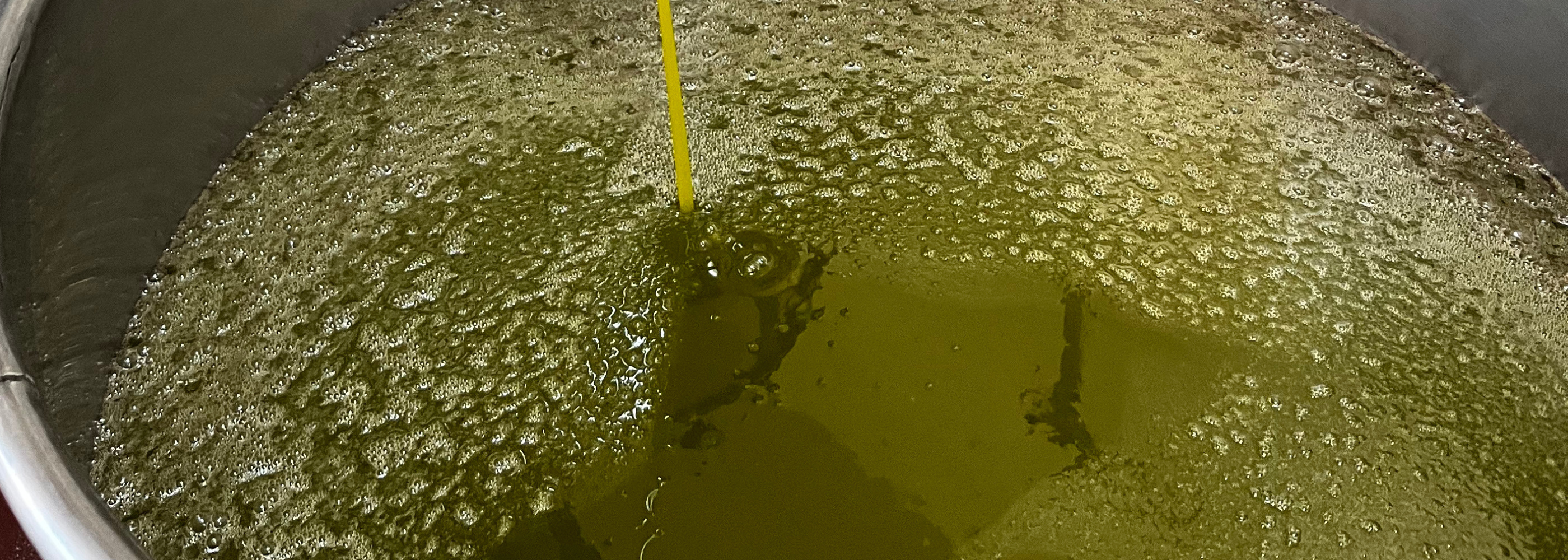 Perché l'olio extravergine pizzica? Significato e cosa indica davvero