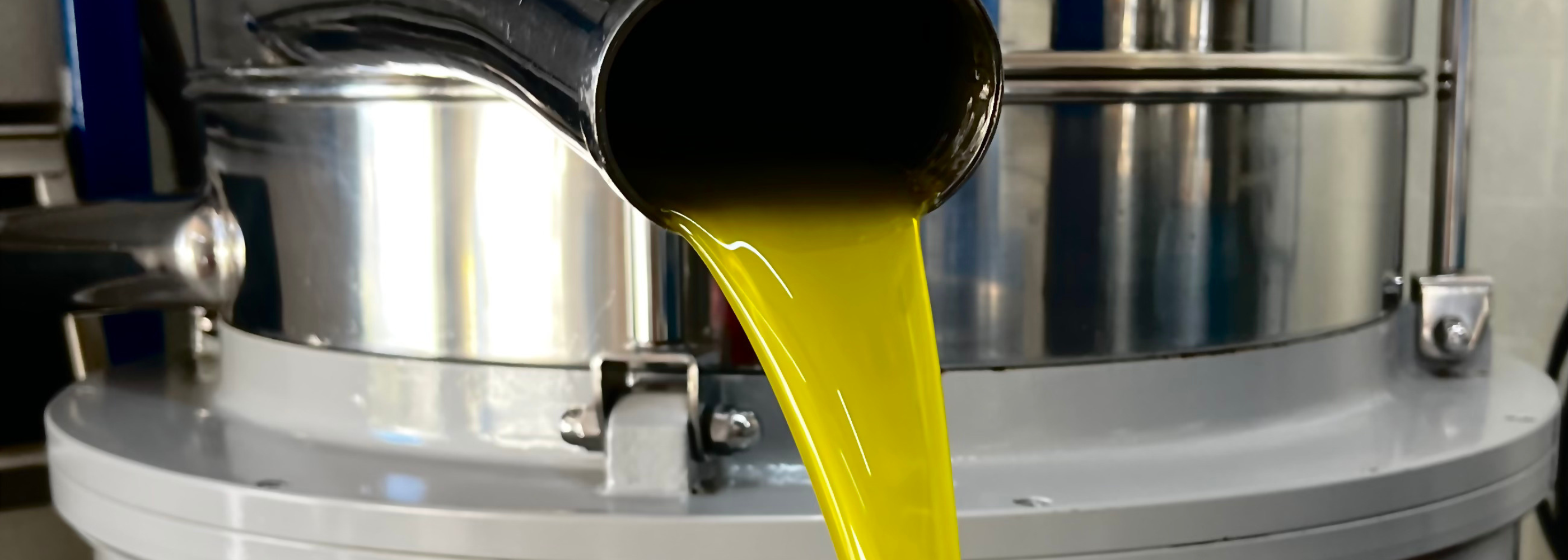 Differenza tra olio vergine ed extravergine: cosa cambia davvero?